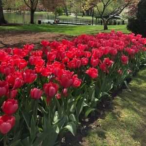 Meet your Posher, Cassandra